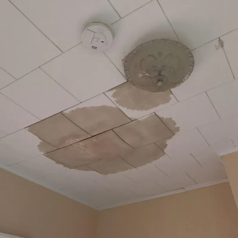 Ceiling Water Damage Repair in Pittsfield, MA