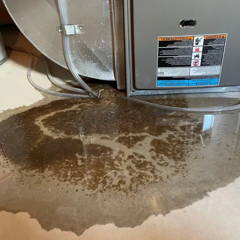 Pipe Burst and Leak Restoration in Pittsfield, MA