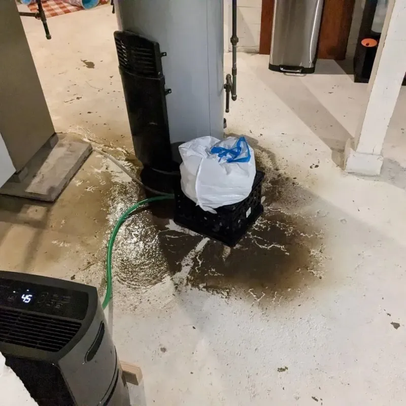 Sewage Backup Cleanup Service in Pittsfield, MA